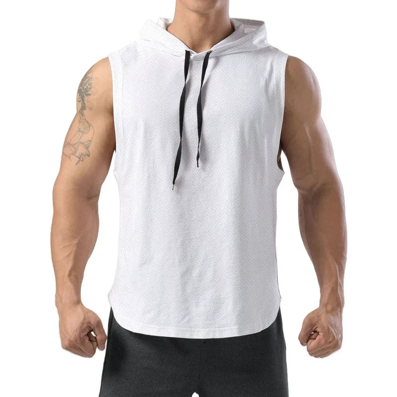Fitness Bodybuilding