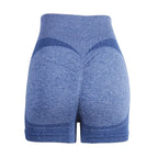 High Waist Fitness Biker Shorts